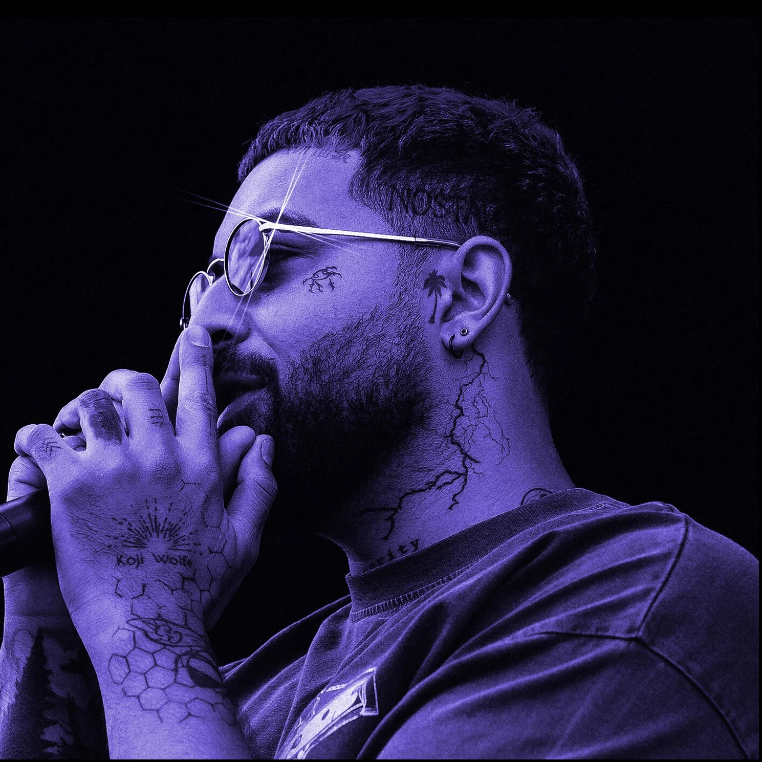 Zane Rosé